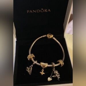 Pandora Charm Bracelet with 5 charms - in box